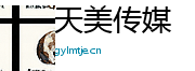 天美传媒